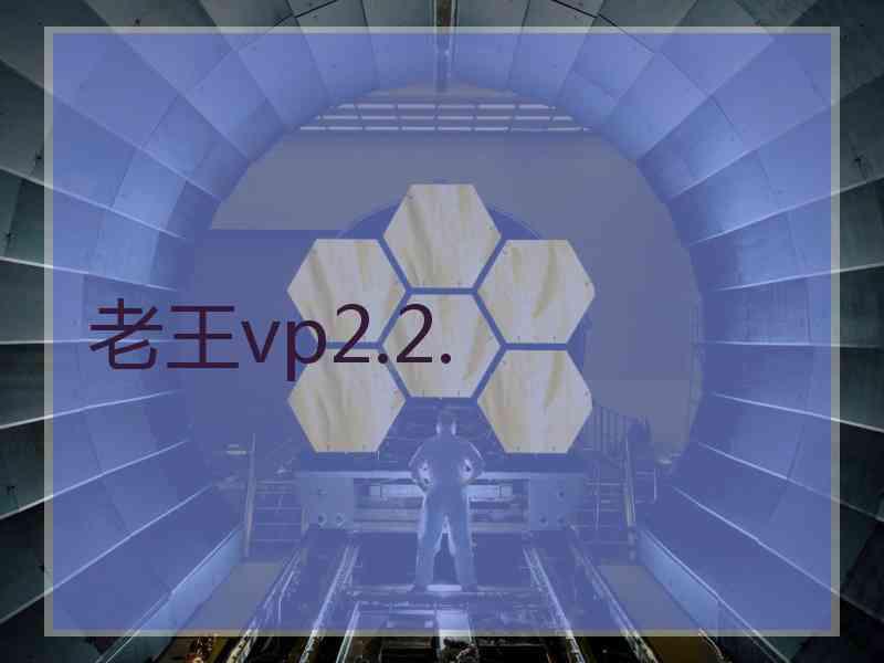 老王vp2.2.
