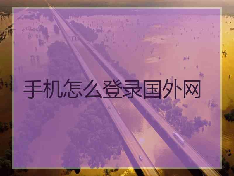 手机怎么登录国外网