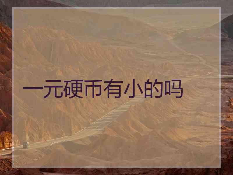 一元硬币有小的吗