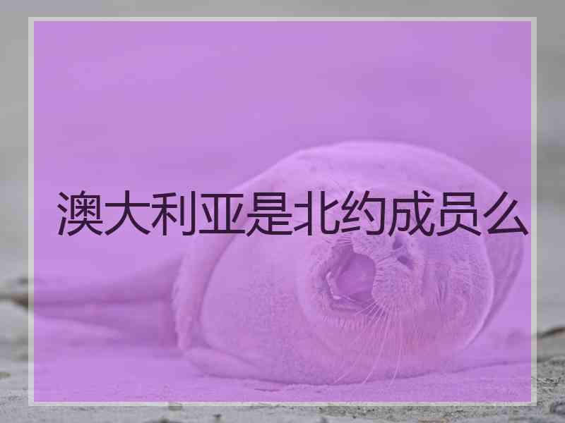 澳大利亚是北约成员么