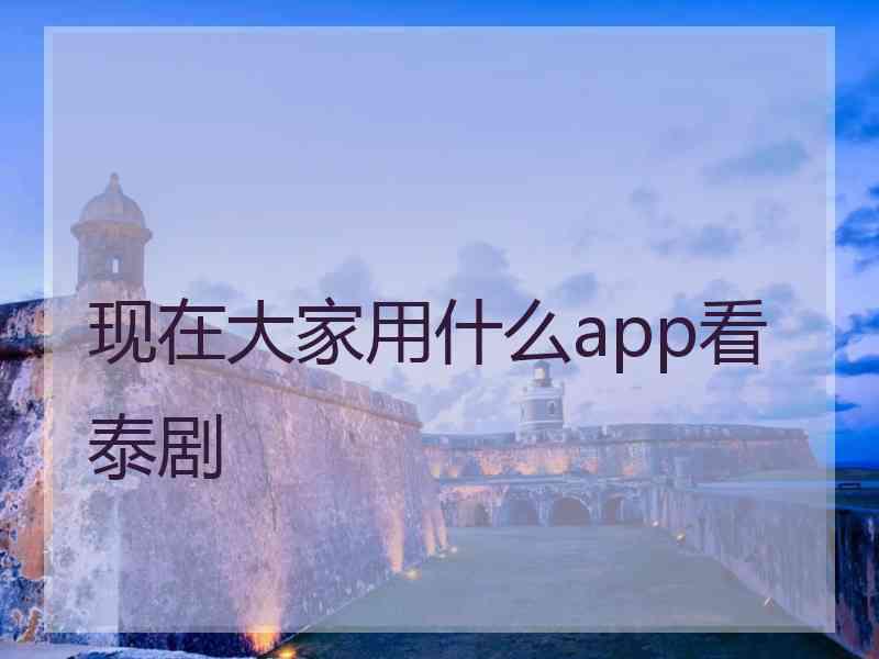 现在大家用什么app看泰剧
