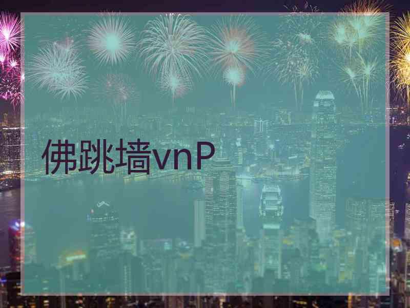 佛跳墙vnP