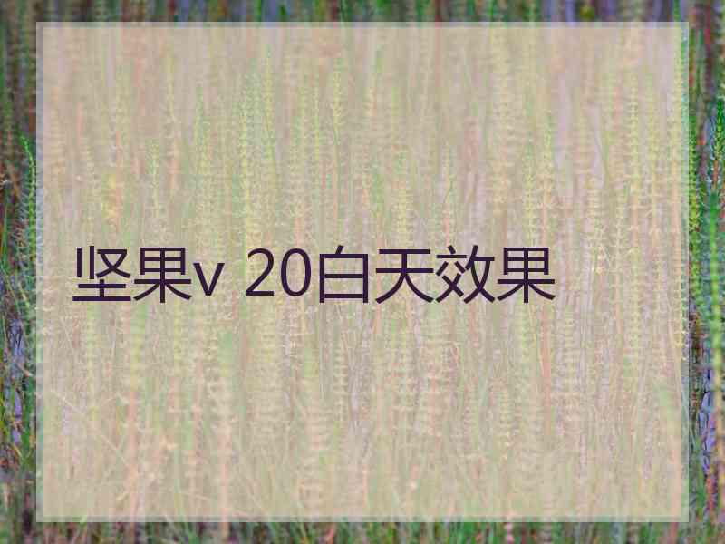 坚果v 20白天效果