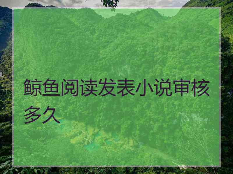鲸鱼阅读发表小说审核多久