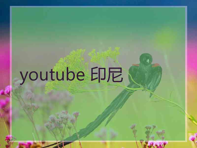 youtube 印尼