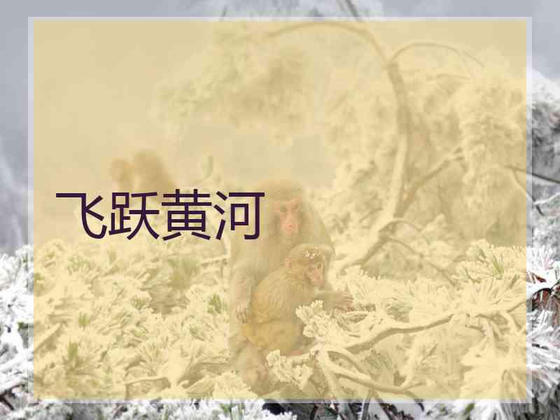 飞跃黄河
