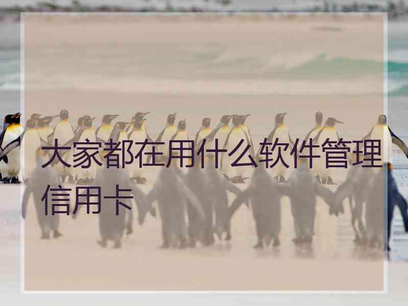 大家都在用什么软件管理信用卡