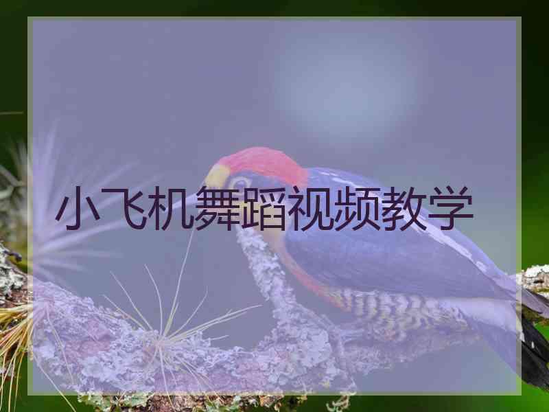 小飞机舞蹈视频教学
