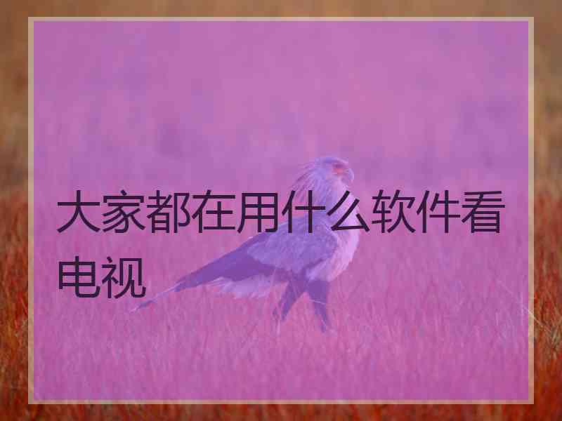 大家都在用什么软件看电视