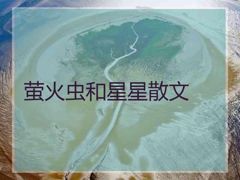 萤火虫和星星散文