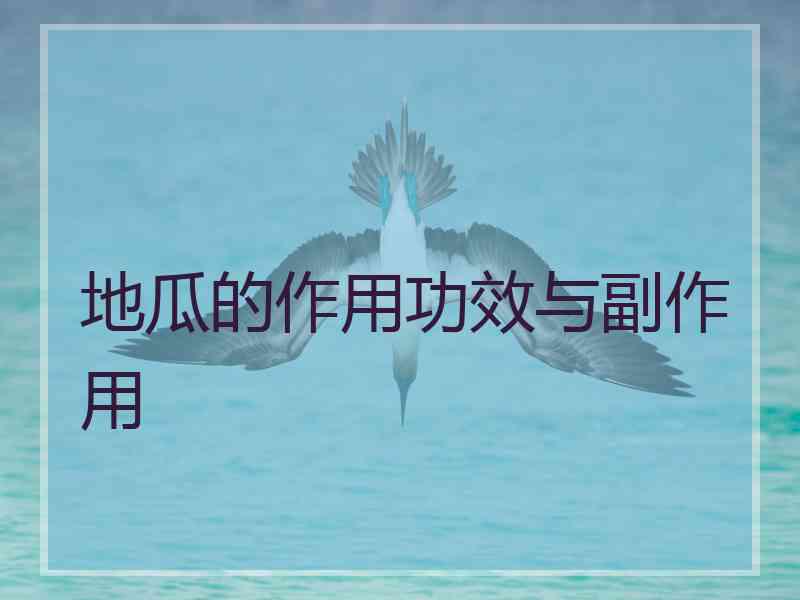 地瓜的作用功效与副作用