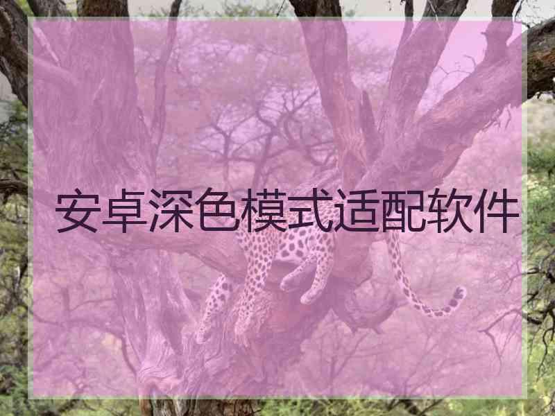 安卓深色模式适配软件