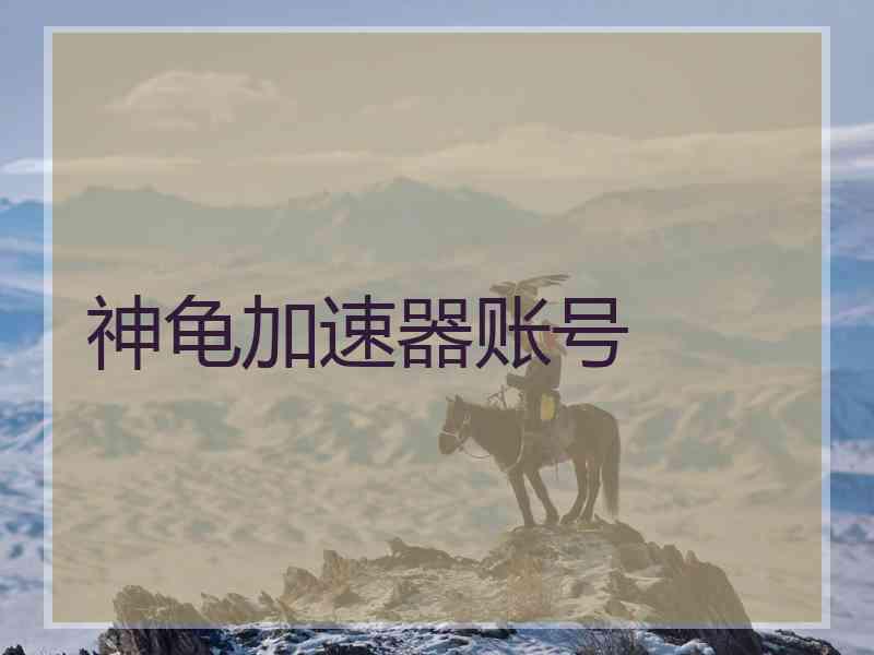 神龟加速器账号