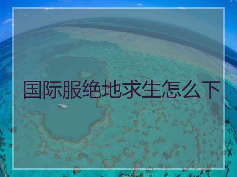 国际服绝地求生怎么下