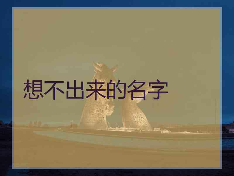 想不出来的名字