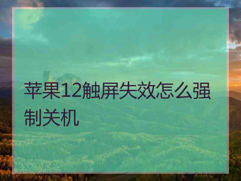 苹果12触屏失效怎么强制关机