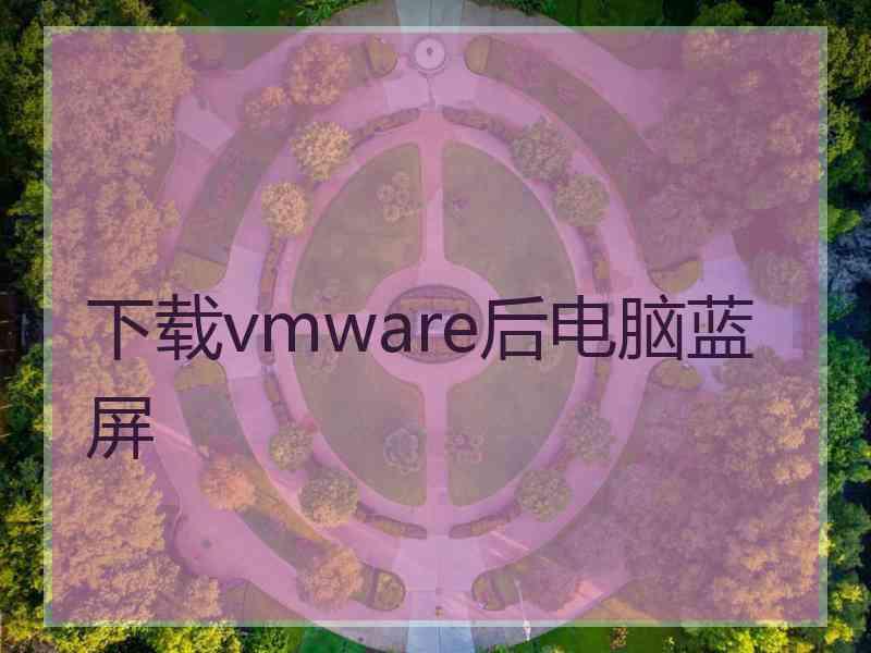 下载vmware后电脑蓝屏