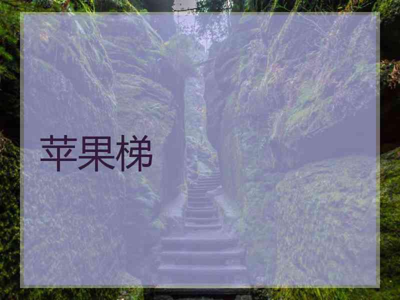 苹果梯