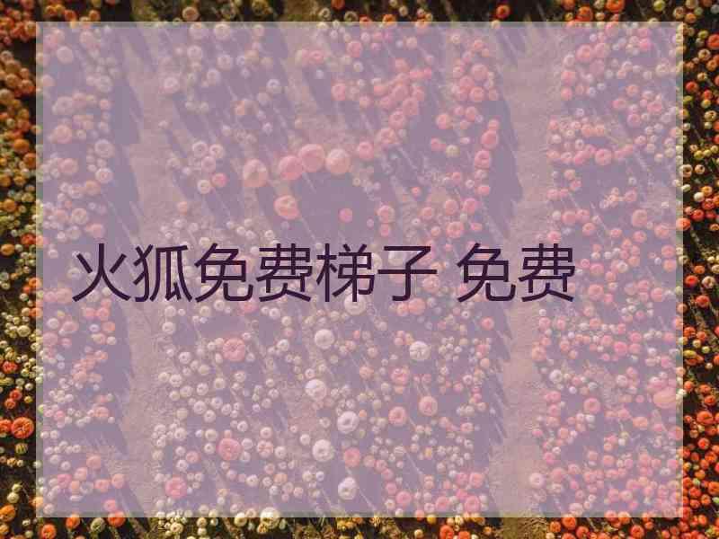 火狐免费梯子 免费