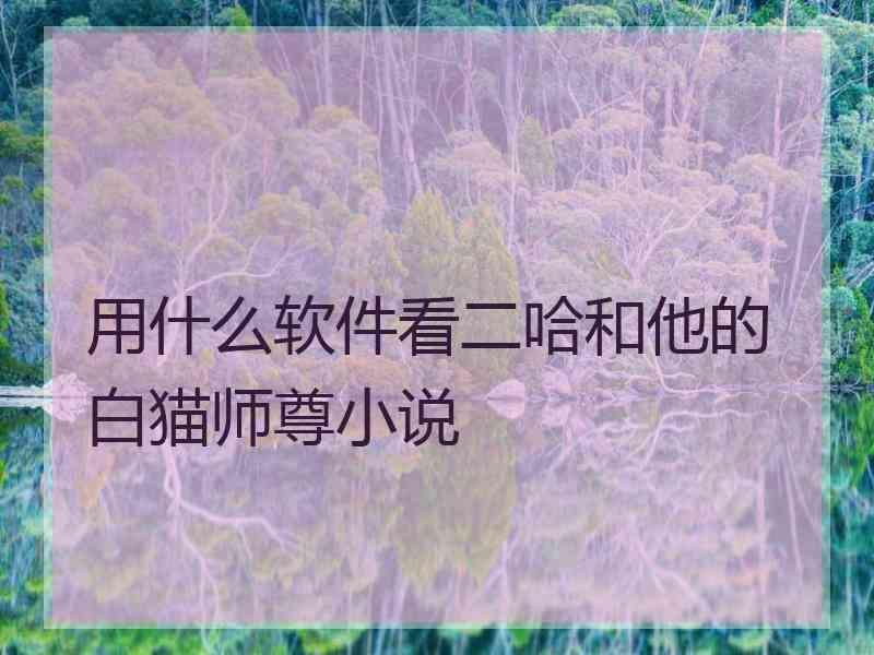 用什么软件看二哈和他的白猫师尊小说