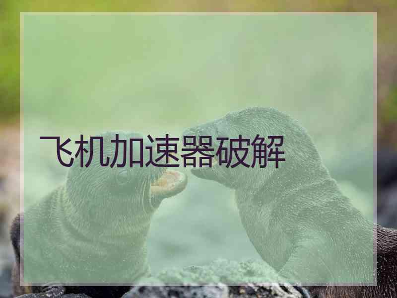 飞机加速器破解