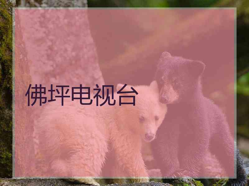 佛坪电视台