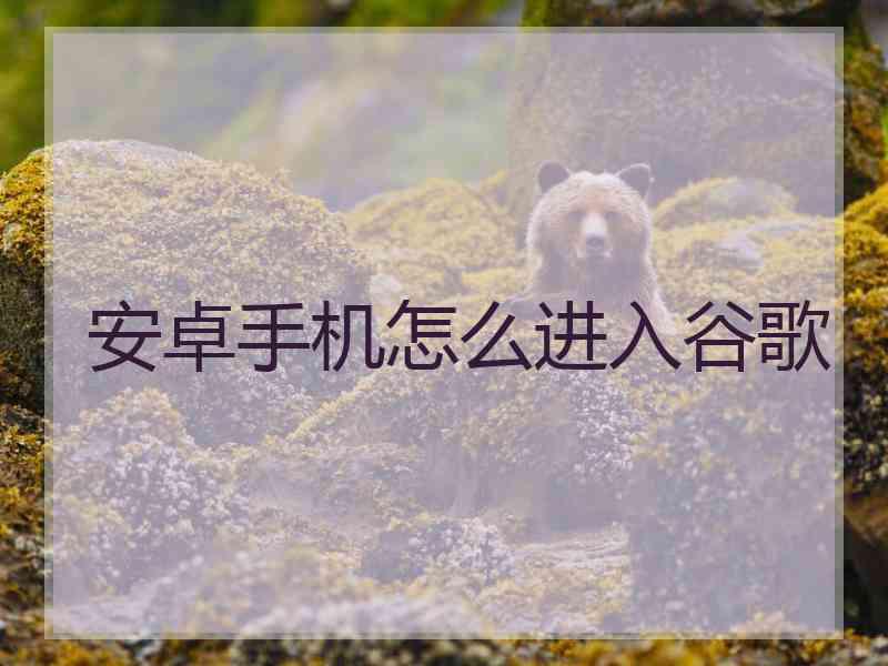 安卓手机怎么进入谷歌