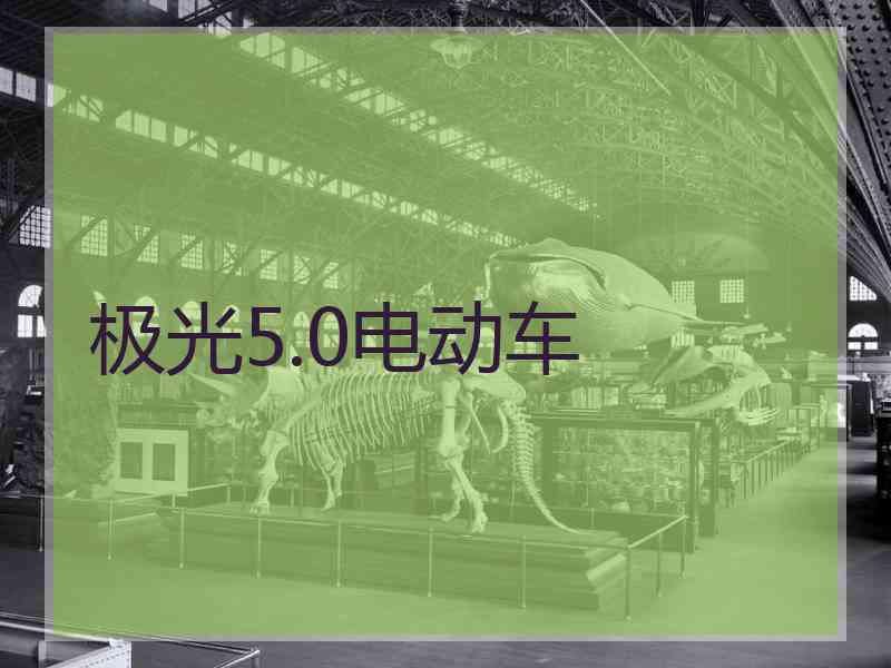 极光5.0电动车