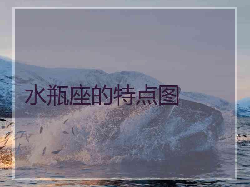 水瓶座的特点图
