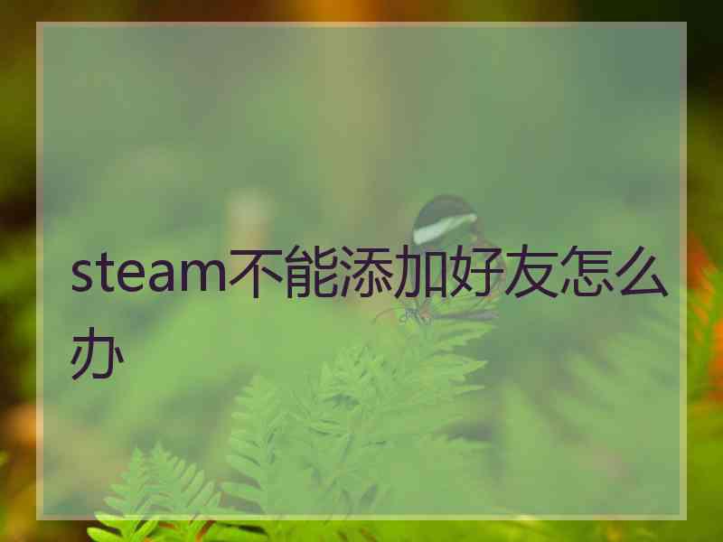 steam不能添加好友怎么办