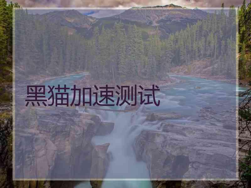 黑猫加速测试