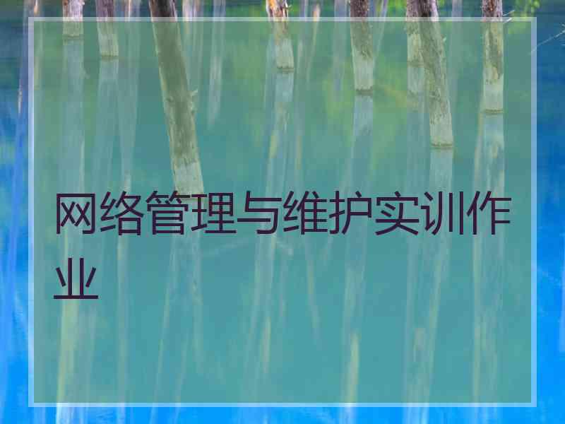 网络管理与维护实训作业