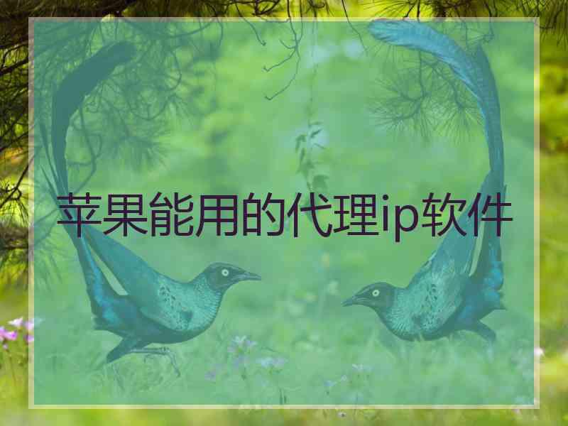 苹果能用的代理ip软件