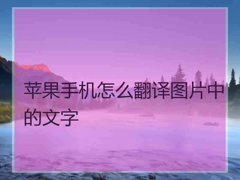 苹果手机怎么翻译图片中的文字