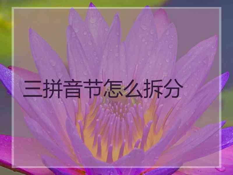 三拼音节怎么拆分