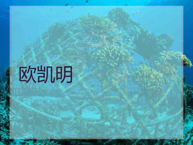欧凯明