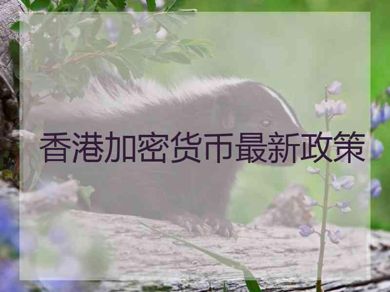香港加密货币最新政策