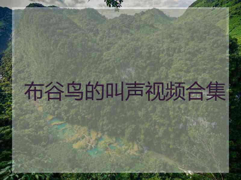 布谷鸟的叫声视频合集