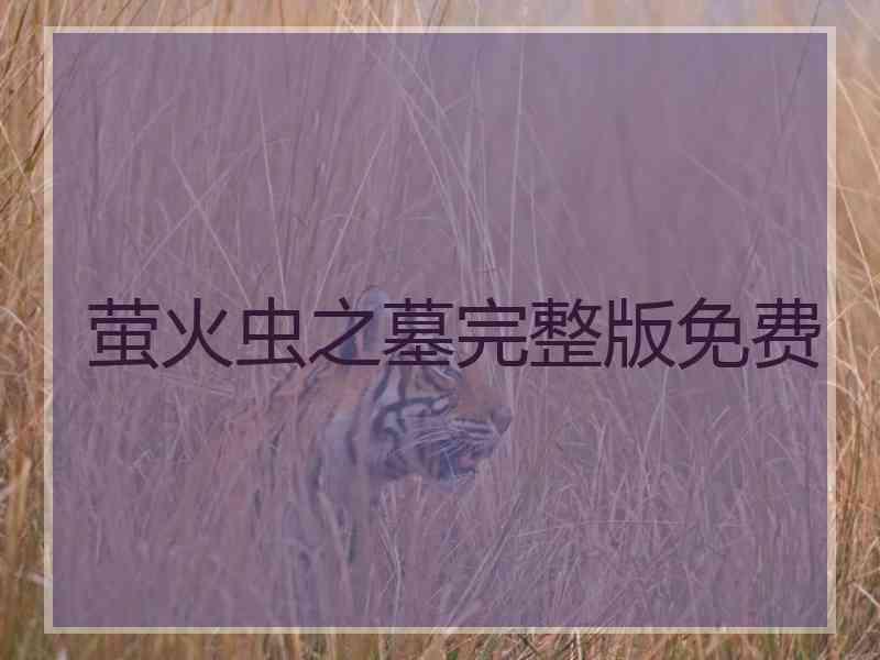 萤火虫之墓完整版免费