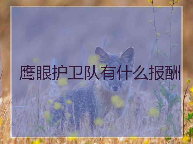 鹰眼护卫队有什么报酬