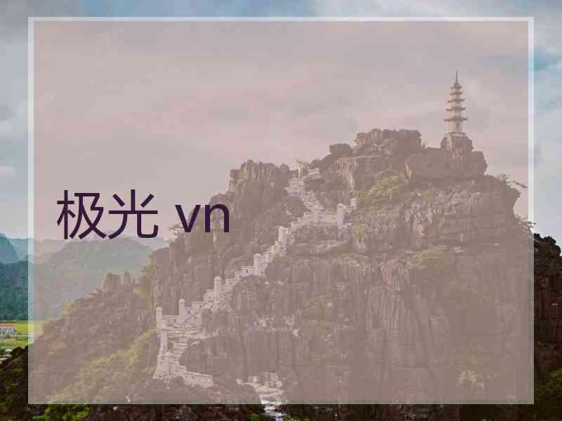 极光 vn