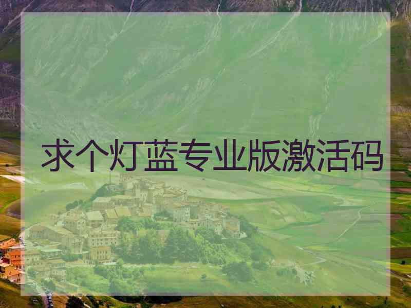 求个灯蓝专业版激活码