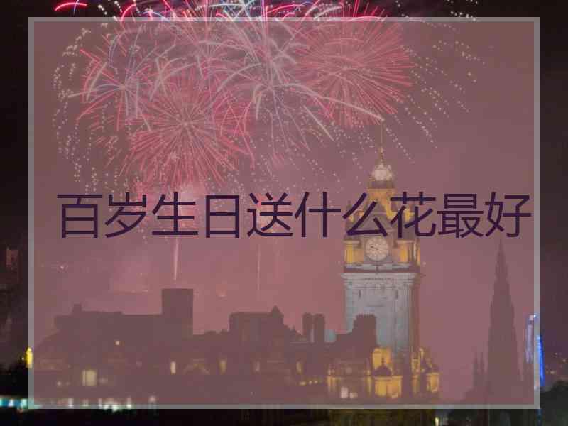 百岁生日送什么花最好