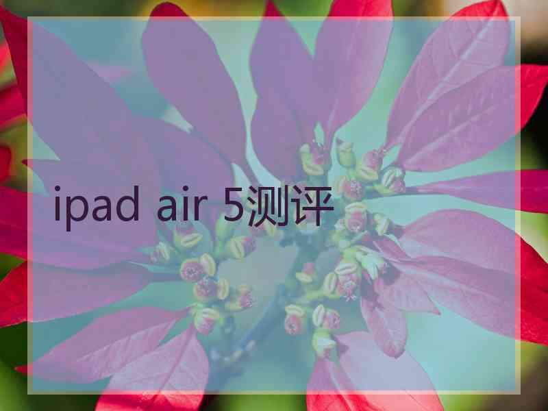 ipad air 5测评