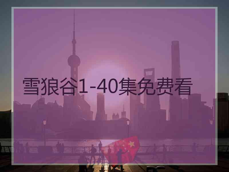 雪狼谷1-40集免费看