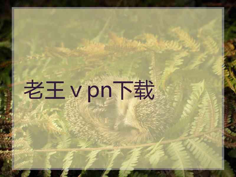 老王ⅴpn下载