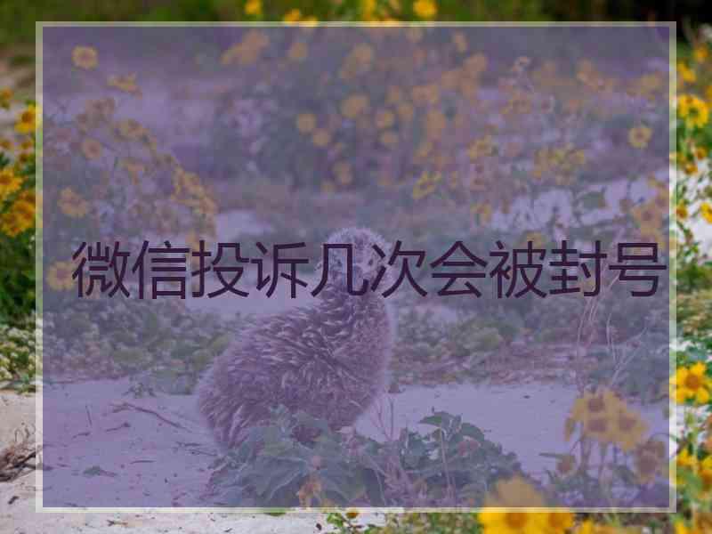 微信投诉几次会被封号