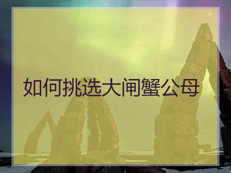 如何挑选大闸蟹公母