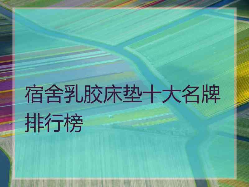 宿舍乳胶床垫十大名牌排行榜