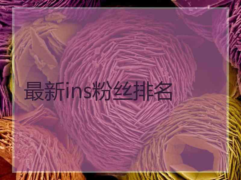 最新ins粉丝排名